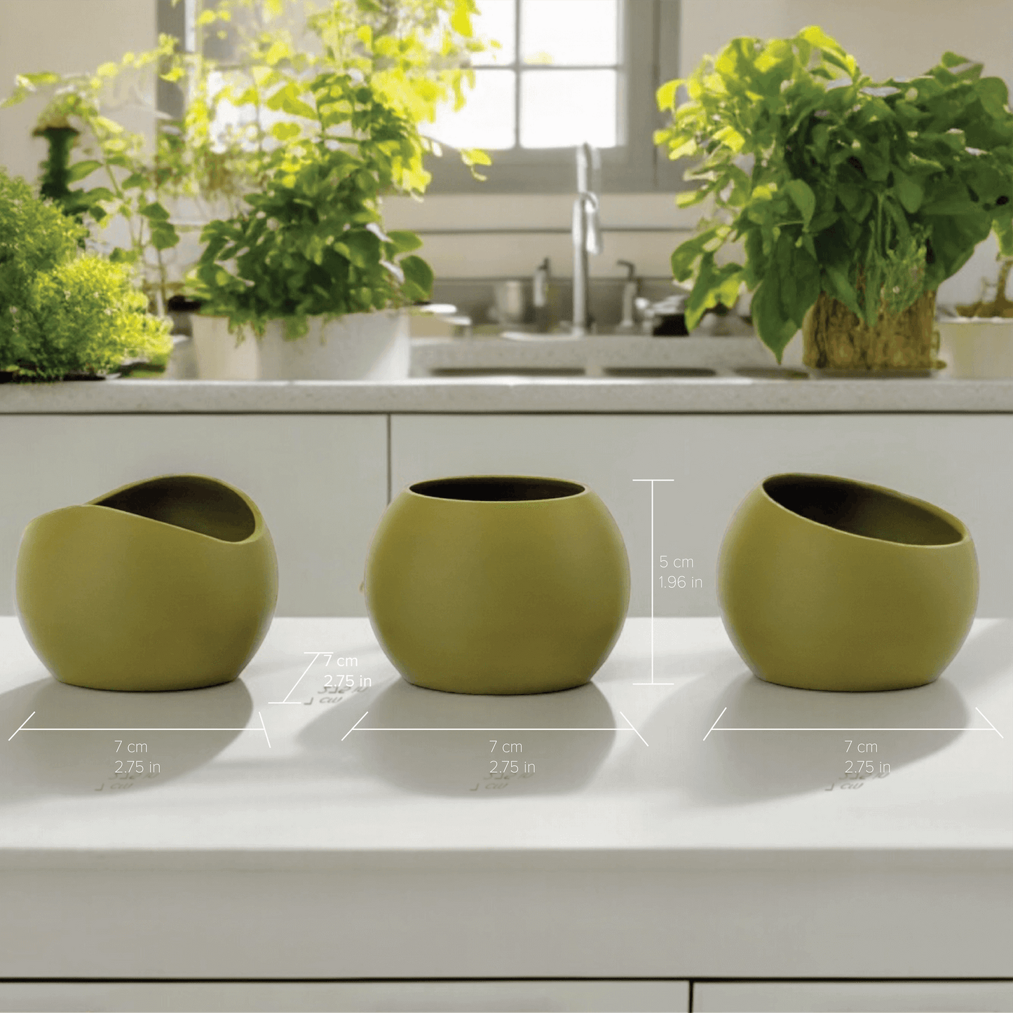 Terra Vessels. Three compact and versatile planters for small plants.