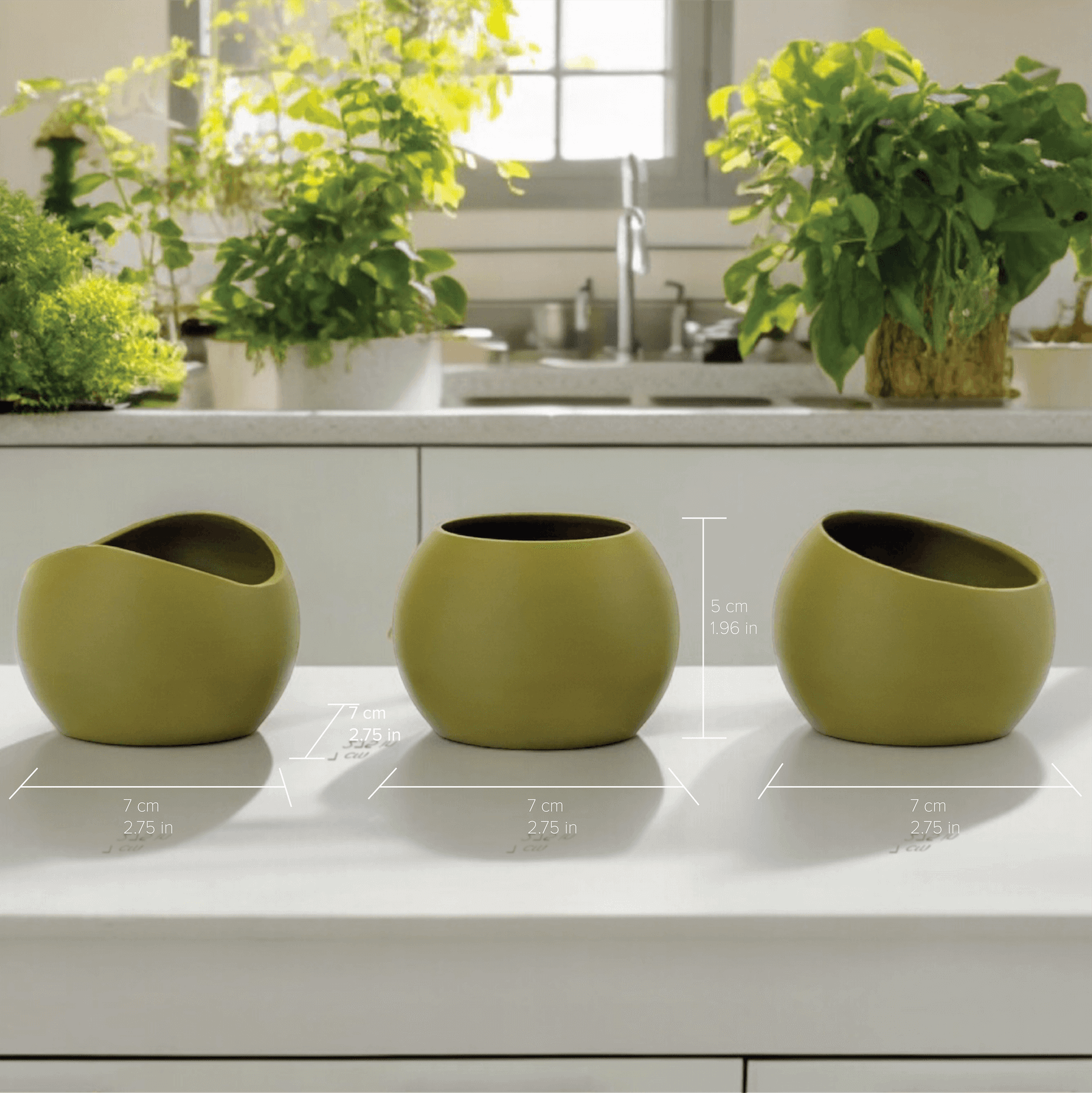 Terra Vessels. Three compact and versatile planters for small plants.