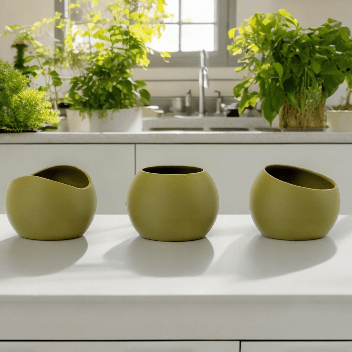 Terra Vessels. Three compact and versatile planters for small plants.